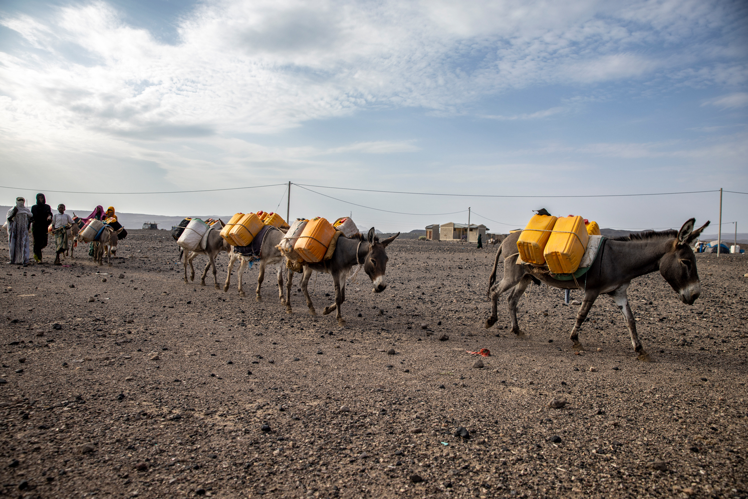mules carrying buckets of water on their back.