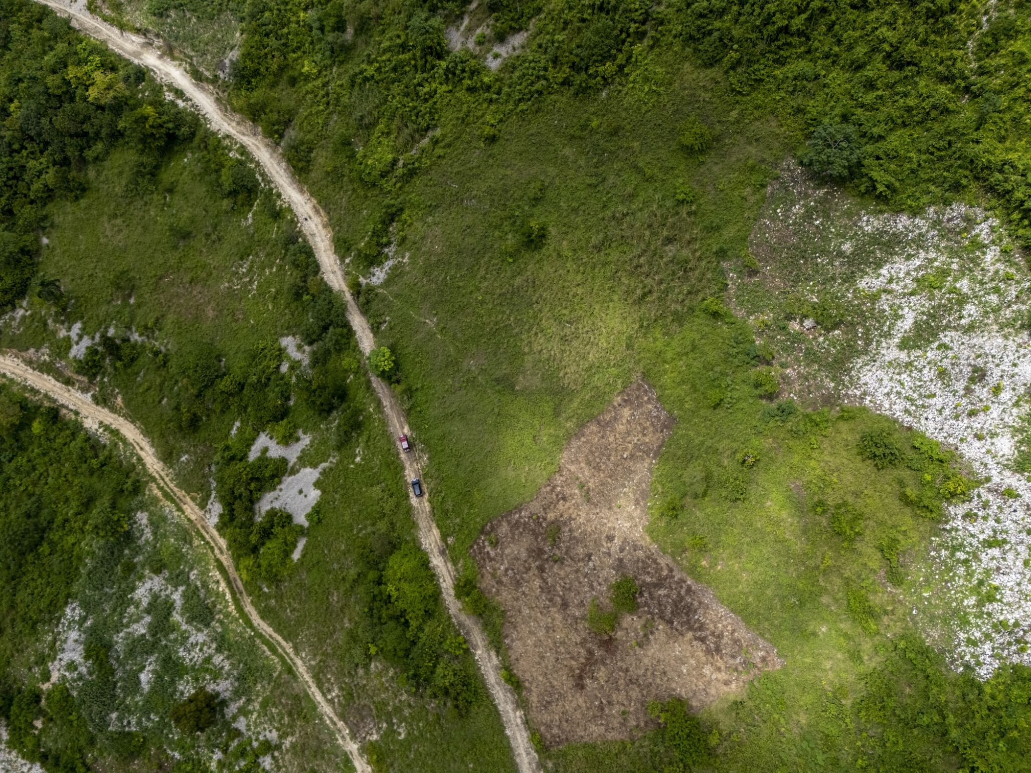 aerial view of greenery in North Carolina